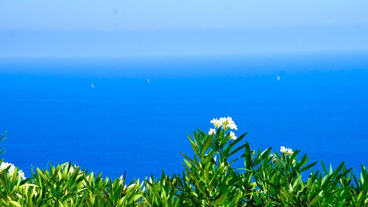 Villa Petale De Rose Cavalaire-sur-Mer Luaran gambar